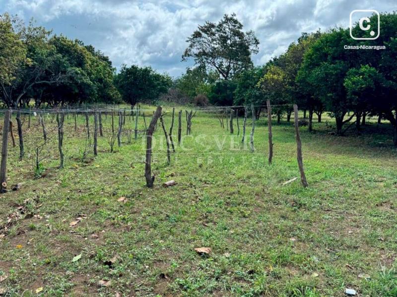 Terreno en venta en Ticuantepe, Managua – 4,781 m²