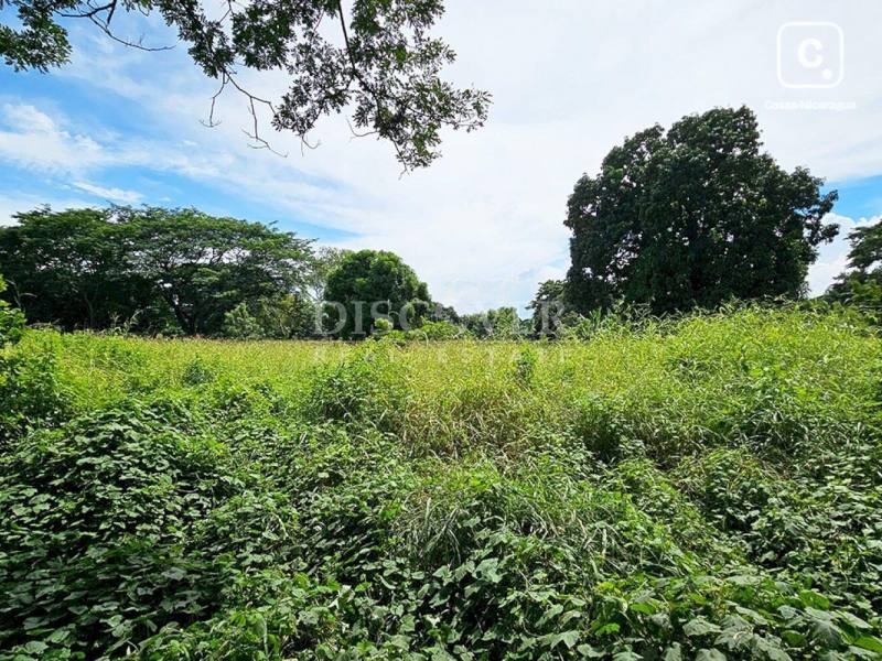 Terreno en venta en Veracruz, Managua – 10,487 varas²