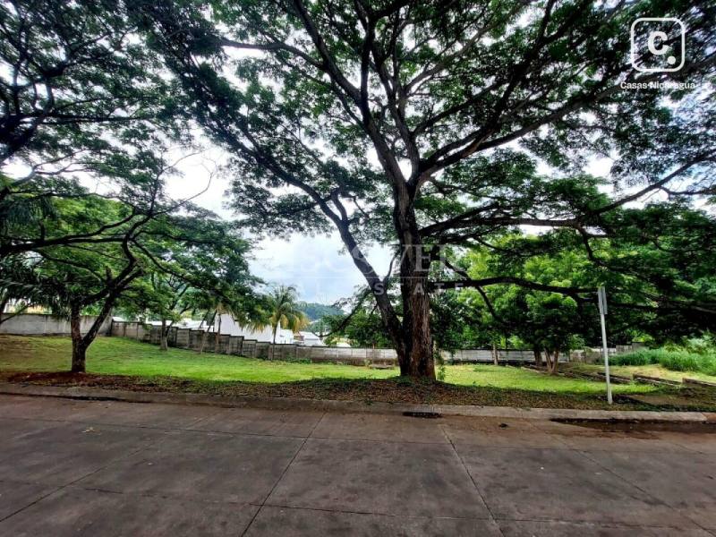 Terreno en venta en Villa Fontana, Managua – 1,590 varas², US$ 127,207