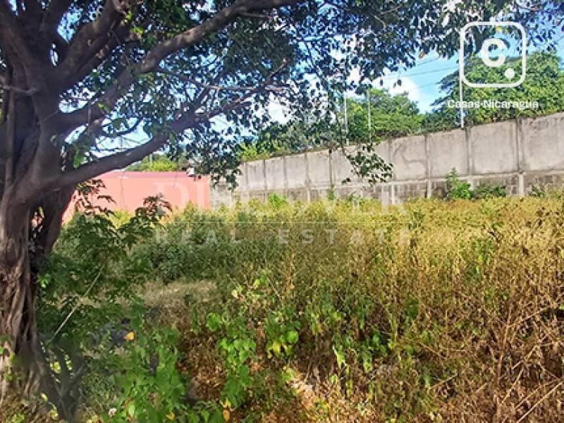 Terreno en venta en Carretera Nueva León, Managua – 316 varas²