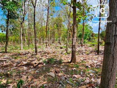 Terreno en venta en Carretera Norte, Managua – 22,022 varas²