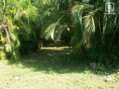 Terreno en venta en Carretera Vieja a León, Managua – 25,354 varas²