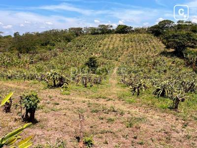 Finca en venta en Diriamba, Carazo – 20,000 varas²