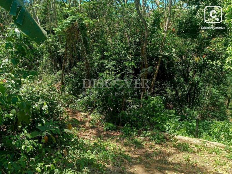 Terreno en venta en Carretera Masaya, Managua – 3,374 varas²