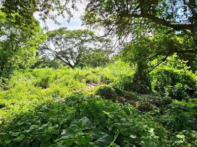 Terreno en venta en Veracruz, Managua – 4,400 varas²