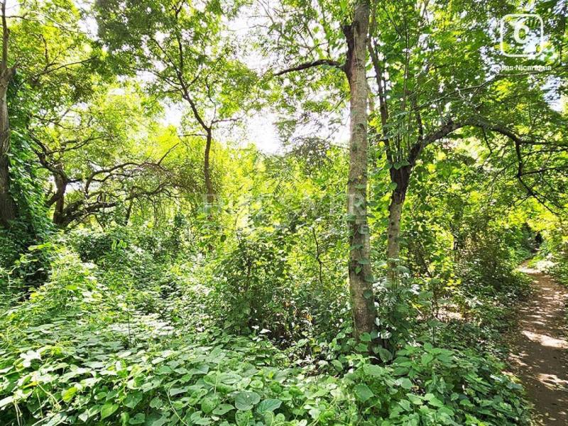 Terreno en venta en Veracruz, Managua – 10,000 varas²