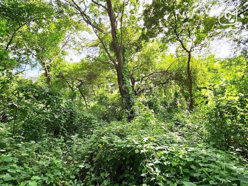 Terreno en venta en Veracruz, Managua – 10,000 varas²
