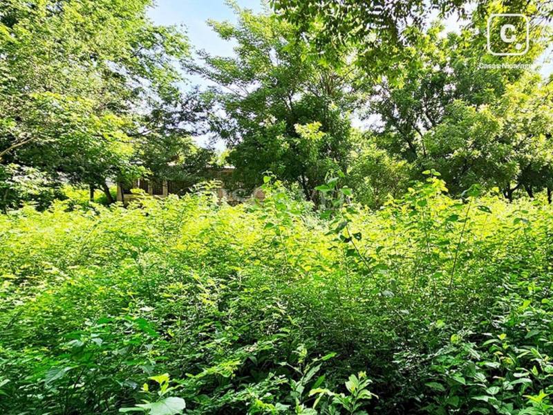 Terreno en venta en Nindirí, Masaya – 712 varas²
