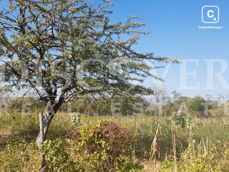 Terreno en venta en Nagarote, León – 130,000 varas²