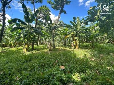 Terreno en venta en Carretera Masaya, Managua – 20,000 varas²