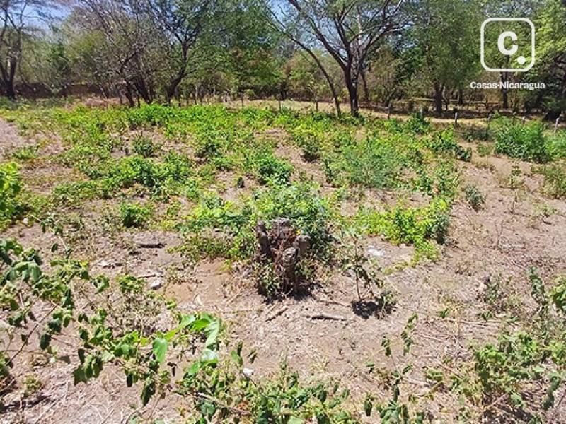 Terreno en venta en Carretera Vieja a León, Managua – 1,116 varas²