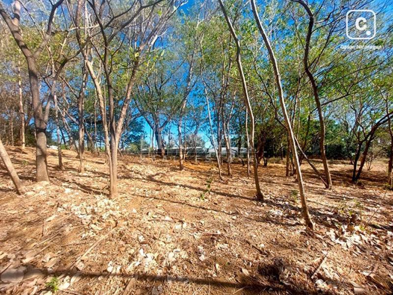 Terreno en venta en Santo Domingo, Managua – 2,875 varas²