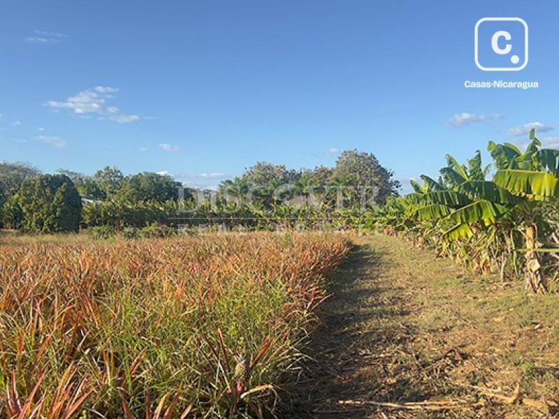 Terreno en venta en Carretera Masaya, Managua – 13,390 varas²