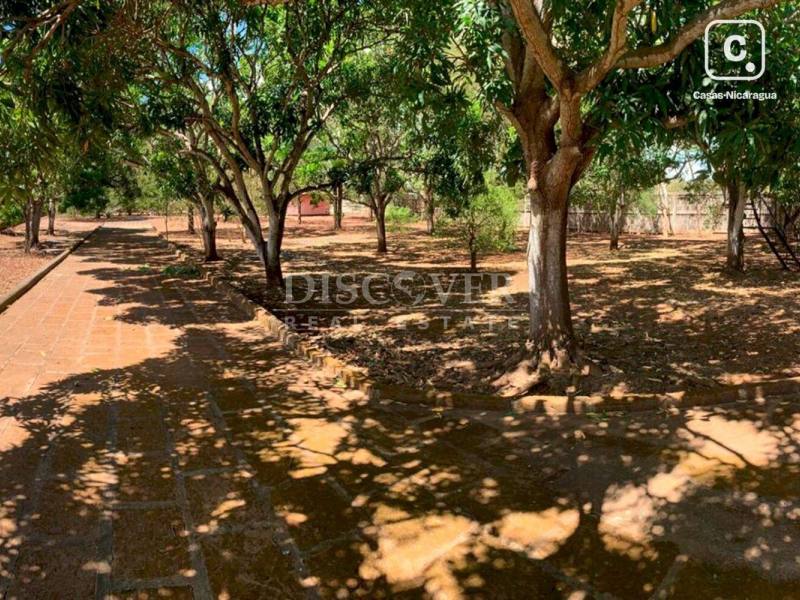 Terreno en venta en Nindirí, Masaya – 55,000 varas²