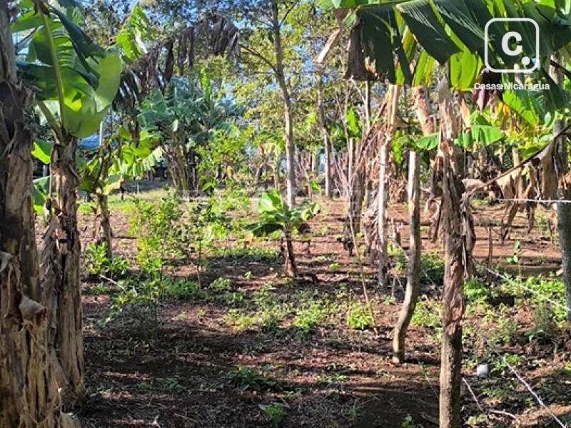 Terreno en venta en Jinotepe, Carazo – 300 varas²
