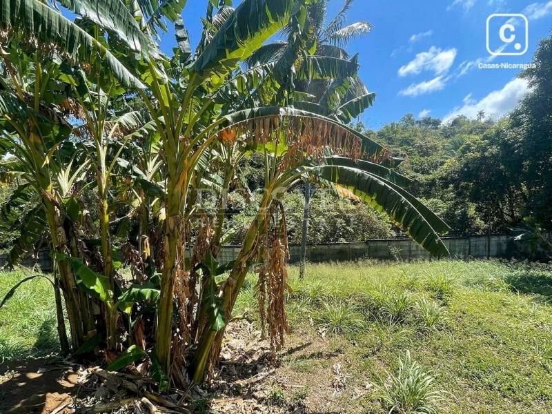 Terreno en venta en Villa Fontana, Managua – 709 varas²