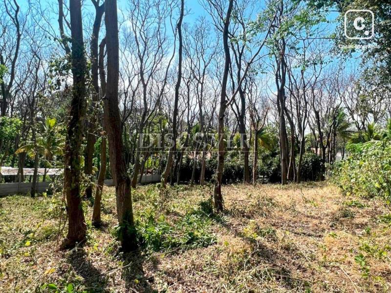 Terreno en venta en Carretera Sur, Managua – 6,000 varas²