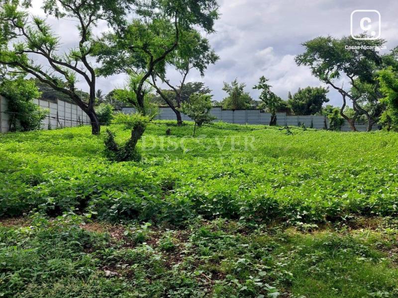 Terreno en venta en Pista Jean Paul Genie, Managua – 10,500 varas²