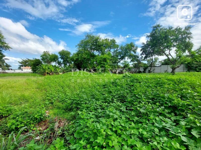Terreno en venta en Pista Jean Paul Genie, Managua – 10,500 varas²