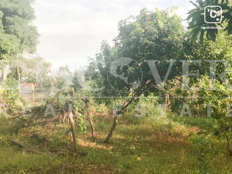 Terreno en venta en Villa Fontana, Managua – 9,922 varas²
