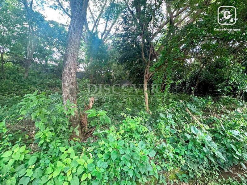 Terreno en venta en Santo Domingo, Managua – 2,500 varas²