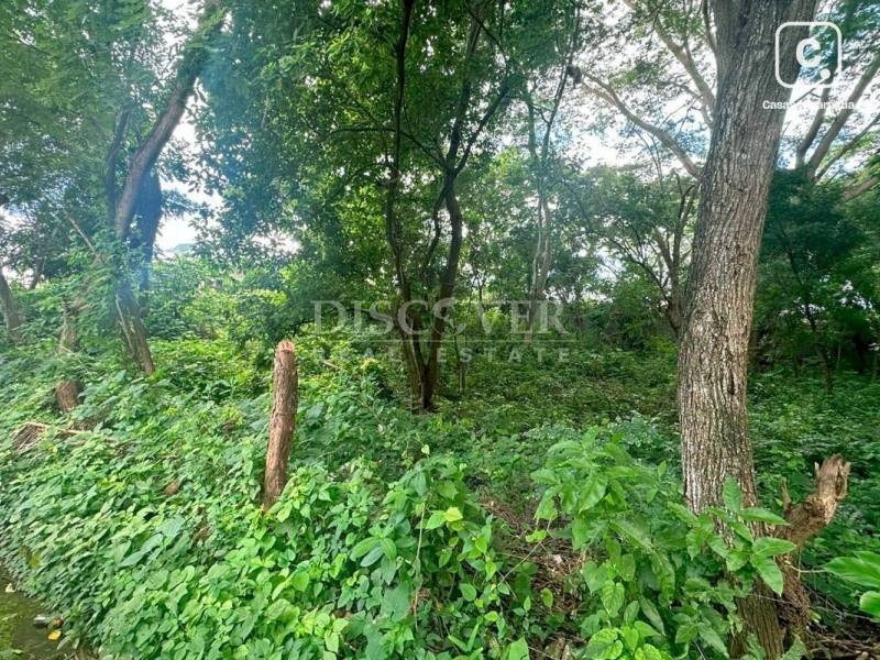 Terreno en venta en Santo Domingo, Managua – 2,500 varas²