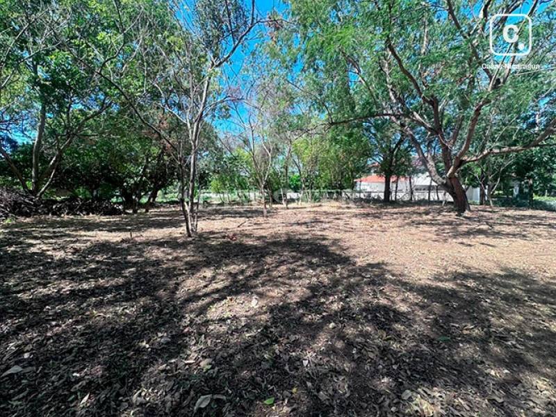 Terreno en venta en Santo Domingo, Managua – 5,000 varas²