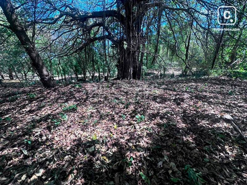 Terreno en venta en Santo Domingo, Managua – 5,000 varas²