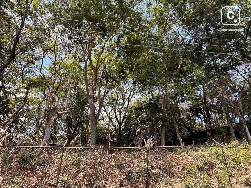 Terreno en venta en Santo Domingo, Managua – 4,000 varas²