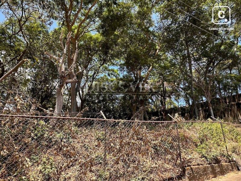 Terreno en venta en Santo Domingo, Managua – 4,000 varas²