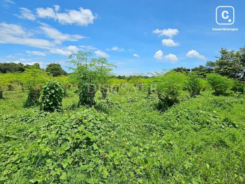 Terreno en venta en Carretera Nueva León, Managua – 33,000 varas²
