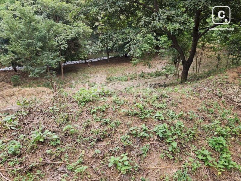 Terreno en venta en Villa Fontana, Managua – 5,000 varas²
