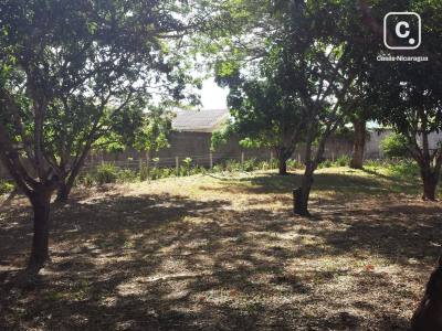 Terreno en venta en Santo Domingo, Managua – 30,000 varas²