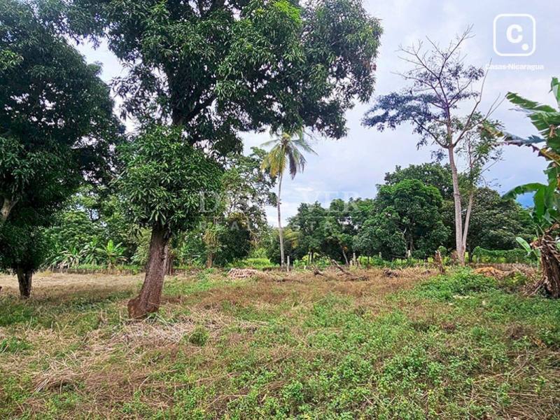 Terreno en venta en Carretera Masaya, Managua – 13,600 varas²