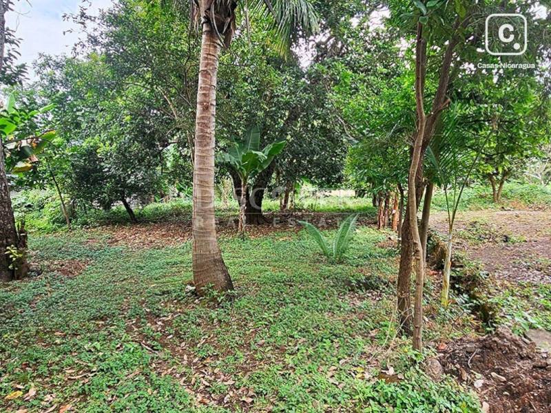 Terreno en venta en Carretera Masaya, Managua – 13,600 varas²