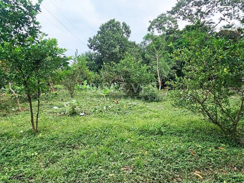 Terreno en venta en Carretera Masaya, Managua – 13,600 varas²