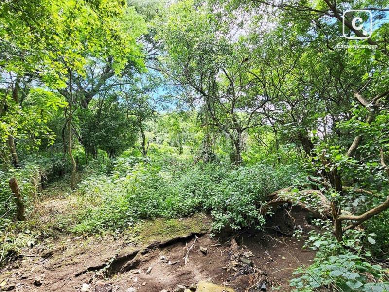 Terreno en venta en Veracruz, Managua – 10,043 varas²