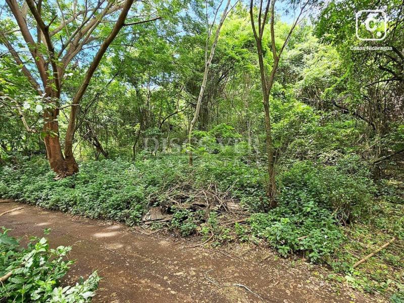 Terreno en venta en Veracruz, Managua – 10,043 varas²
