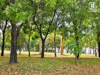 Terreno en venta en Carretera Masaya, Managua – 359 varas²