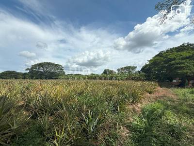 Terreno en venta en Carretera Masaya, Managua – 80,000 varas²