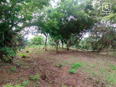 Terreno en venta en Carretera Masaya, Managua – 77,200 varas²