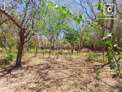 Terreno en venta en Carretera Vieja a León, Managua – 3,397 varas²