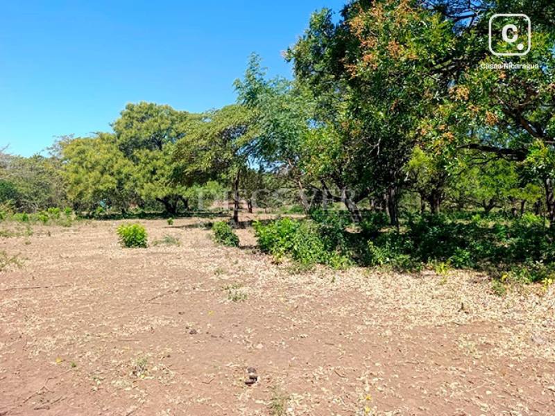 Terreno en venta en Carretera Vieja a León, Managua – 100,000 varas²