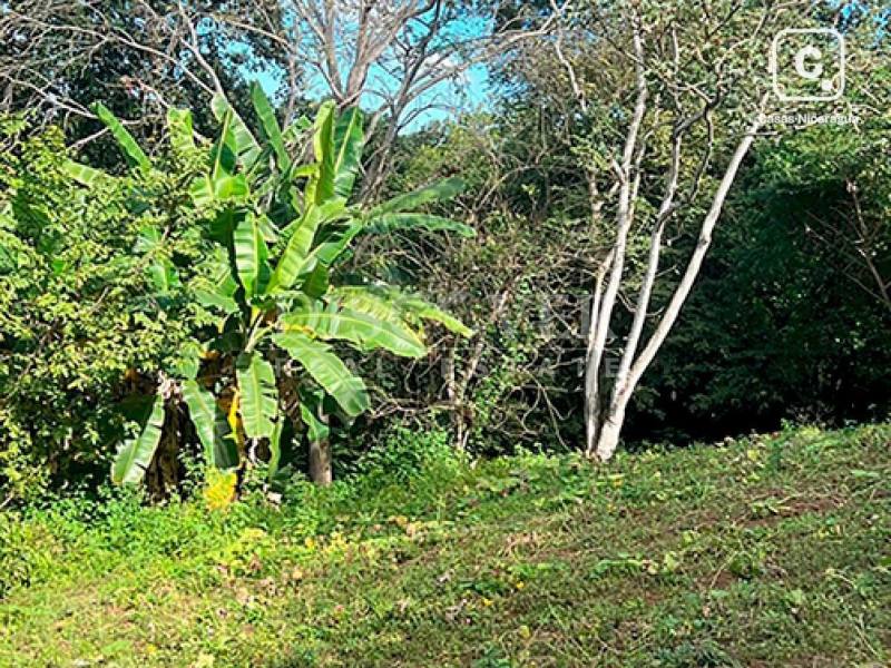 Terreno en venta en Santo Domingo, Managua – 7,000 varas²