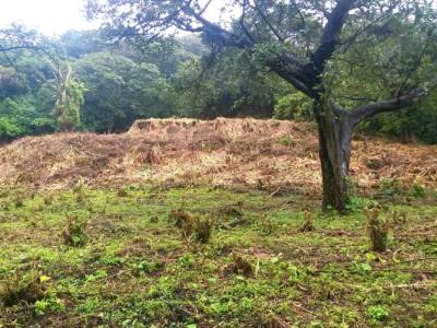 Venta de Terreno en Las Nubes, El Crucero