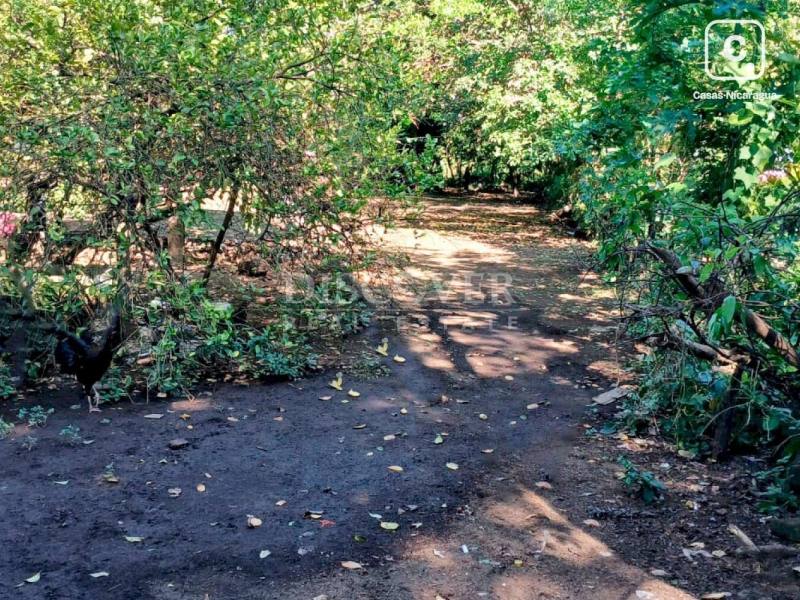 Terreno en venta en Veracruz, Managua – 1,626 varas²