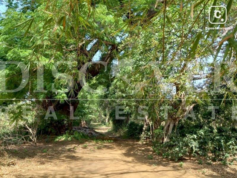 Terreno en venta en Carretera Masaya, Managua – 100,000 varas²