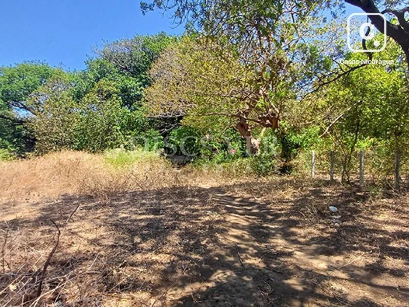 Terreno en venta en Carretera Vieja a León, Managua – 2,396 varas²