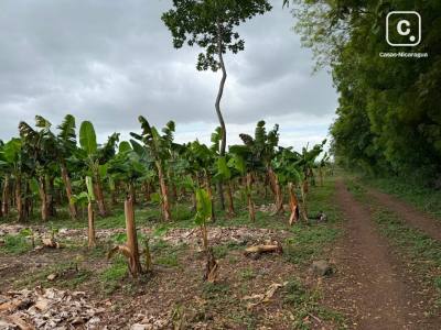 Terreno en venta en Veracruz, Managua – 42,618 varas²