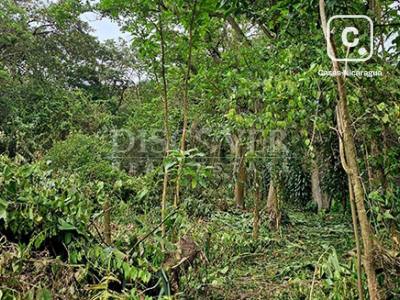 Terreno en venta en Crucero, Managua – 23,723 varas²